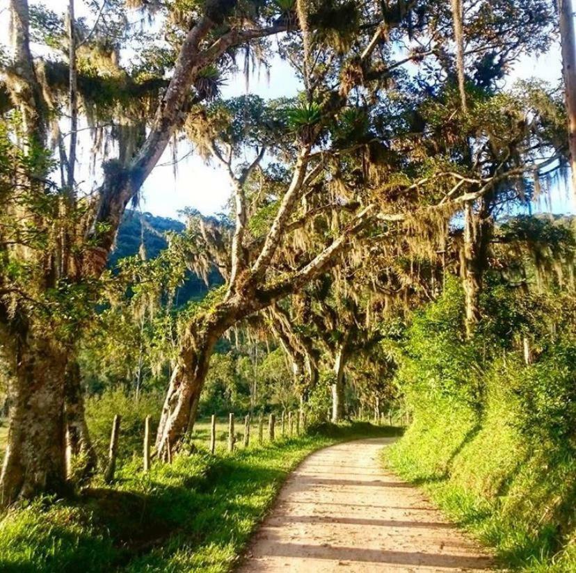 Pousada Alpenhof Hotel São Pedro de Alcântara Eksteriør billede